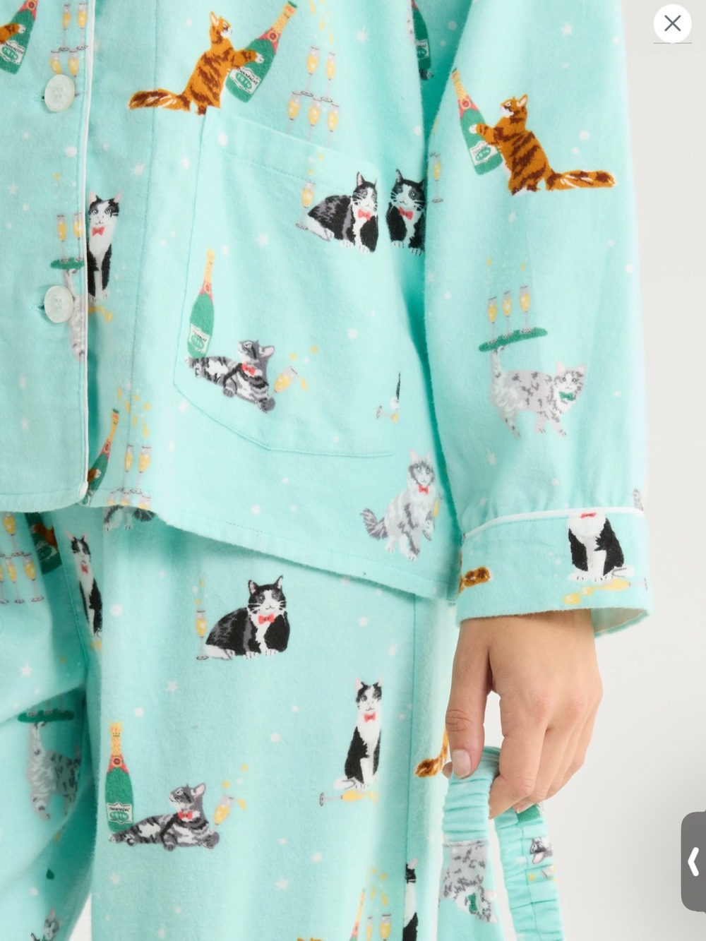 NEW 🐾PJ Salvage 🐾Cats Kitty🥂Cheers🥂 3-Piece Flannel PJ Set Color Mint